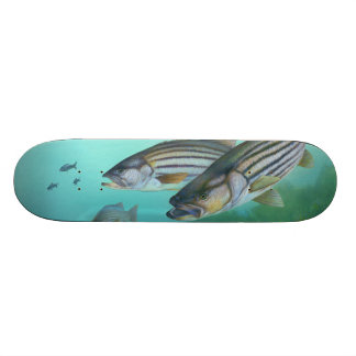 Atlantic Stribass Fish Morone Saxatilis Skateboard