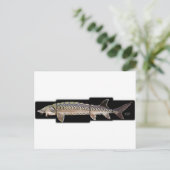 Atlantic Sturgeon - Acipenser oxyrinchus Briefkaart (Staand voorkant)