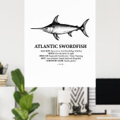 Atlantic Swordfish Scientific Illustration  Poster (Thuiskantoor)