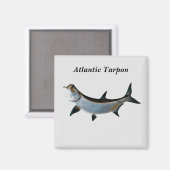 atlantisch tarpon magneet (Voorkant / Achterkant)