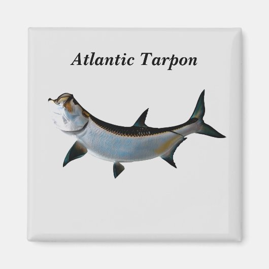 atlantisch tarpon magneet (Voorkant)