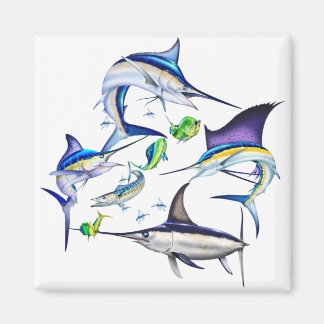 Atlantische Billfish Magneet