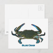 Atlantische blauwe krab Logo Briefkaart (Voorkant / Achterkant)