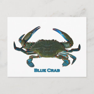 Atlantische blauwe krab Logo Briefkaart