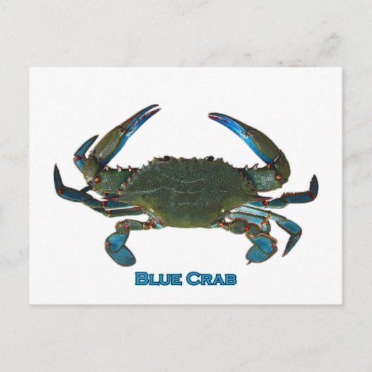 Atlantische blauwe krab Logo Briefkaart (Voorkant)