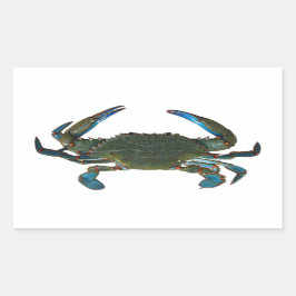 Atlantische blauwe krab Logo Rechthoekige Sticker