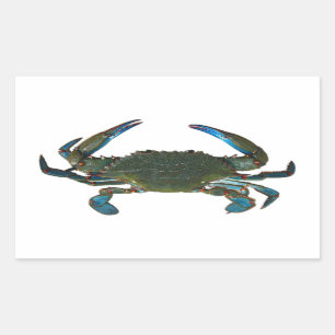 Atlantische blauwe krab Logo Rechthoekige Sticker