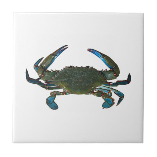 Atlantische blauwe krab Logo Tegeltje (Voorkant)