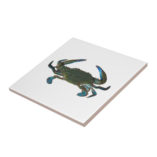 Atlantische blauwe krab Logo Tegeltje (Zijkant)