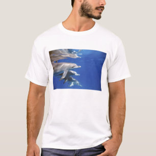 Atlantische gevlekte dolfijnen. Bimini, Bahamas T-shirt