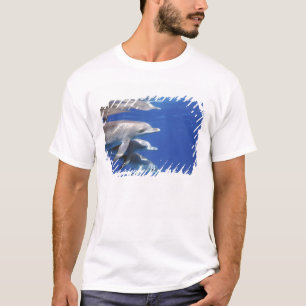 Atlantische gevlekte dolfijnen. Bimini, Bahamas T-shirt