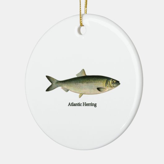 Atlantische haring keramisch ornament (Links)
