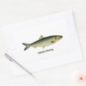 Atlantische haring rechthoekige sticker (Envelop)