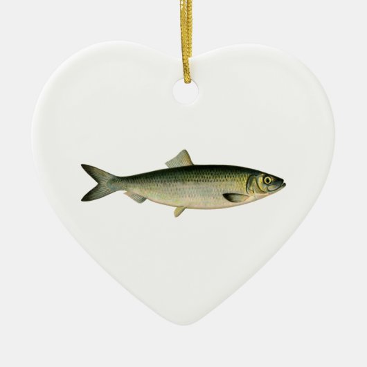 Atlantische haring van Zee Keramisch Ornament (Voorkant)