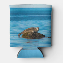 Atlantische havenrob blikjeskoeler