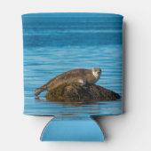 Atlantische havenrob blikjeskoeler (Achterkant)