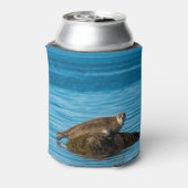 Atlantische havenrob blikjeskoeler (Blikje Achterkant)