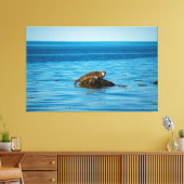 Atlantische havenrob canvas afdruk (Insitu (Woonkamer))