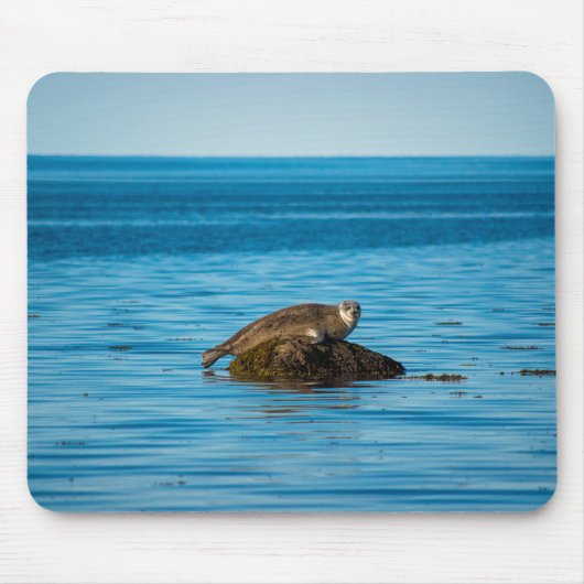 Atlantische havenrob muismat (Voorkant)