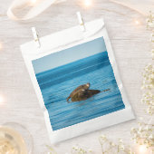 Atlantische havenzeehond bedankzakje (Geknipt)