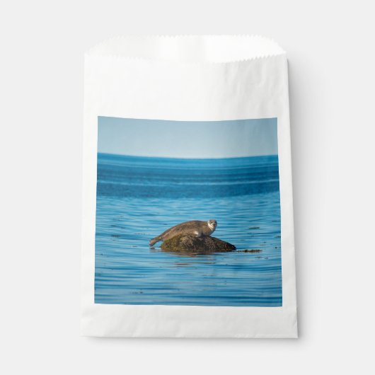 Atlantische havenzeehond bedankzakje (Voorkant)