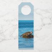 Atlantische havenzeehond flessenhanger (Achterkant)