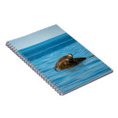 Atlantische havenzeehond notitieboek (Rechterzijde)