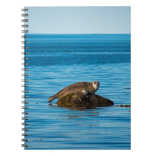 Atlantische havenzeehond notitieboek (Voorkant)