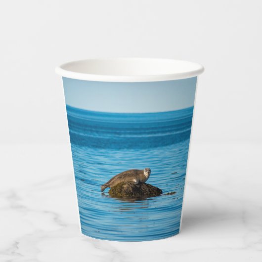 Atlantische havenzeehond papieren bekers (Voorkant)