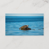 Atlantische havenzeehond plaatskaartje (Achterkant)