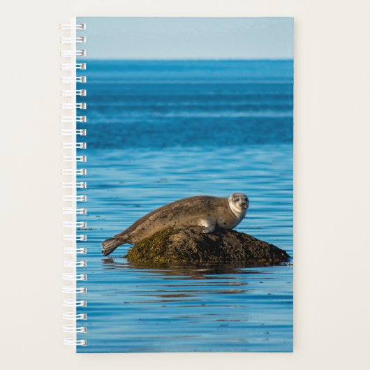 Atlantische havenzeehond planner (Voorkant)