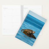 Atlantische havenzeehond planner (Display)