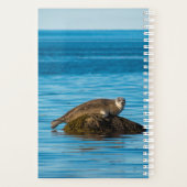 Atlantische havenzeehond planner (Achterkant)