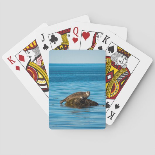 Atlantische havenzeehond  pokerkaarten (Achterkant)
