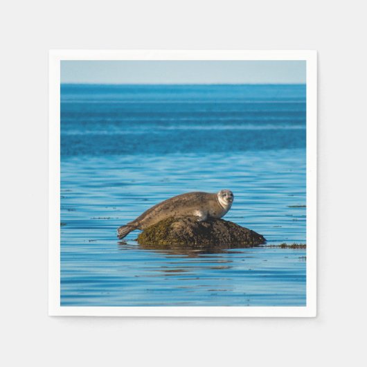 Atlantische havenzeehond servet (Voorkant)