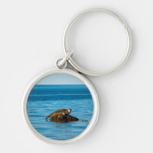 Atlantische havenzeehond sleutelhanger (Voorkant)
