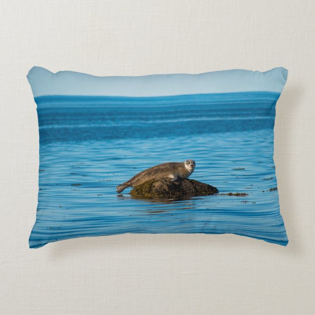 Atlantische havenzegel accent kussen (Voorkant)