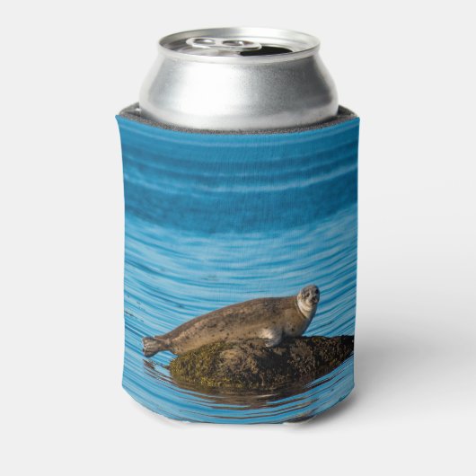 Atlantische havenzegel blikjeskoeler (Blikje Achterkant)