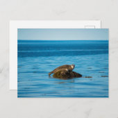 Atlantische havenzegel briefkaart (Voorkant / Achterkant)