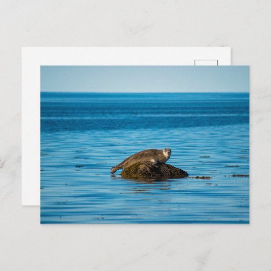 Atlantische havenzegel briefkaart (Voorkant / Achterkant)