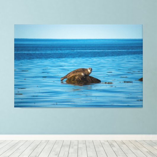 Atlantische havenzegel canvas afdruk (Insitu (Houten vloer))