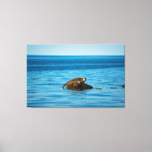 Atlantische havenzegel canvas afdruk (Voorkant)