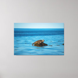 Atlantische havenzegel canvas afdruk