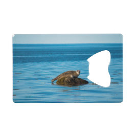 Atlantische havenzegel creditkaart flessenopener