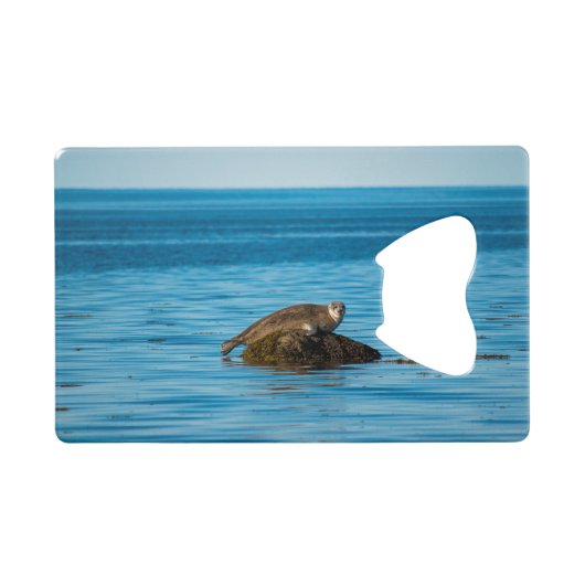Atlantische havenzegel creditkaart flessenopener (Voorkant (Horizontaal))