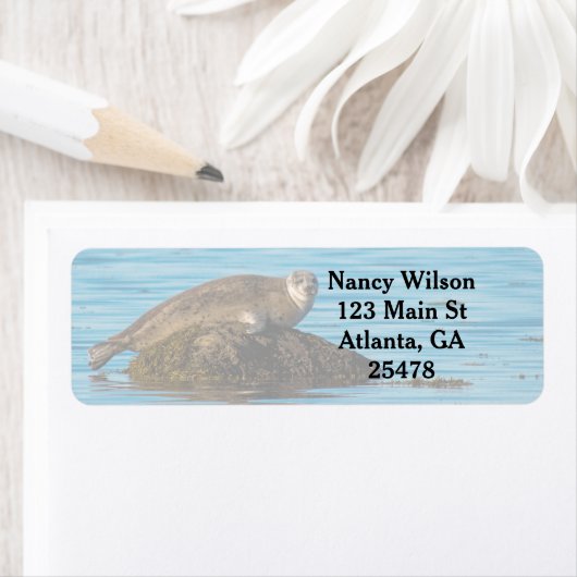 Atlantische havenzegel etiket (Insitu)