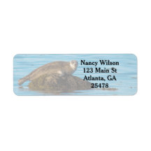 Atlantische havenzegel