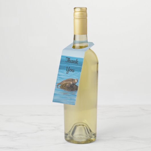 Atlantische havenzegel flessenhanger (Schuin)