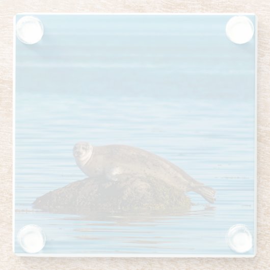 Atlantische havenzegel glazen onderzetter (Achterkant)