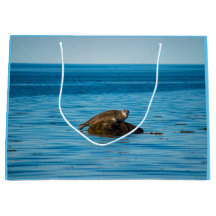 Atlantische havenzegel